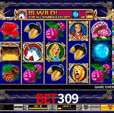 bet309 Rio de Janeiro - Bonus Terms